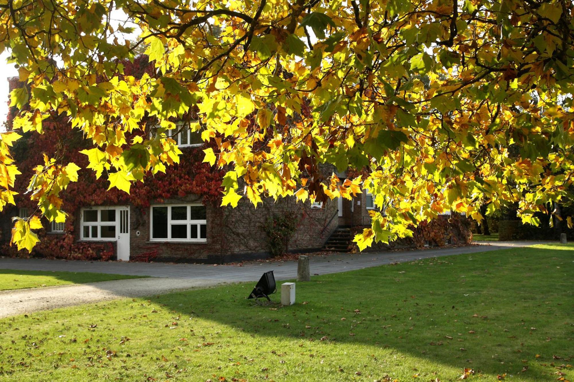 B&B Lievejan Jabbeke  Bagian luar foto