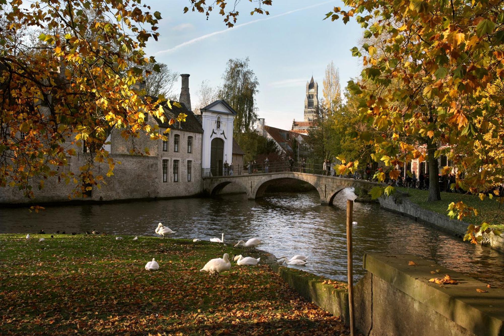 B&B Lievejan Jabbeke  Bagian luar foto